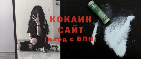 индика Армянск