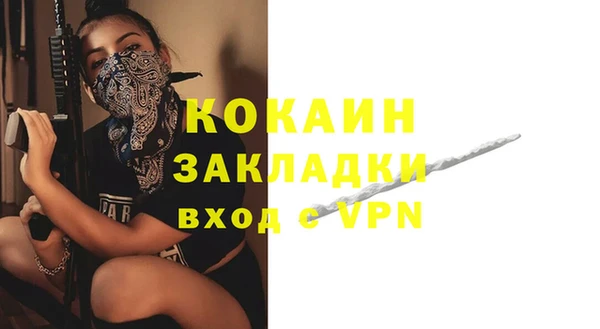 индика Армянск
