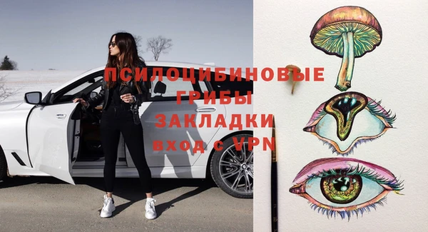 индика Армянск