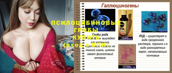 индика Армянск